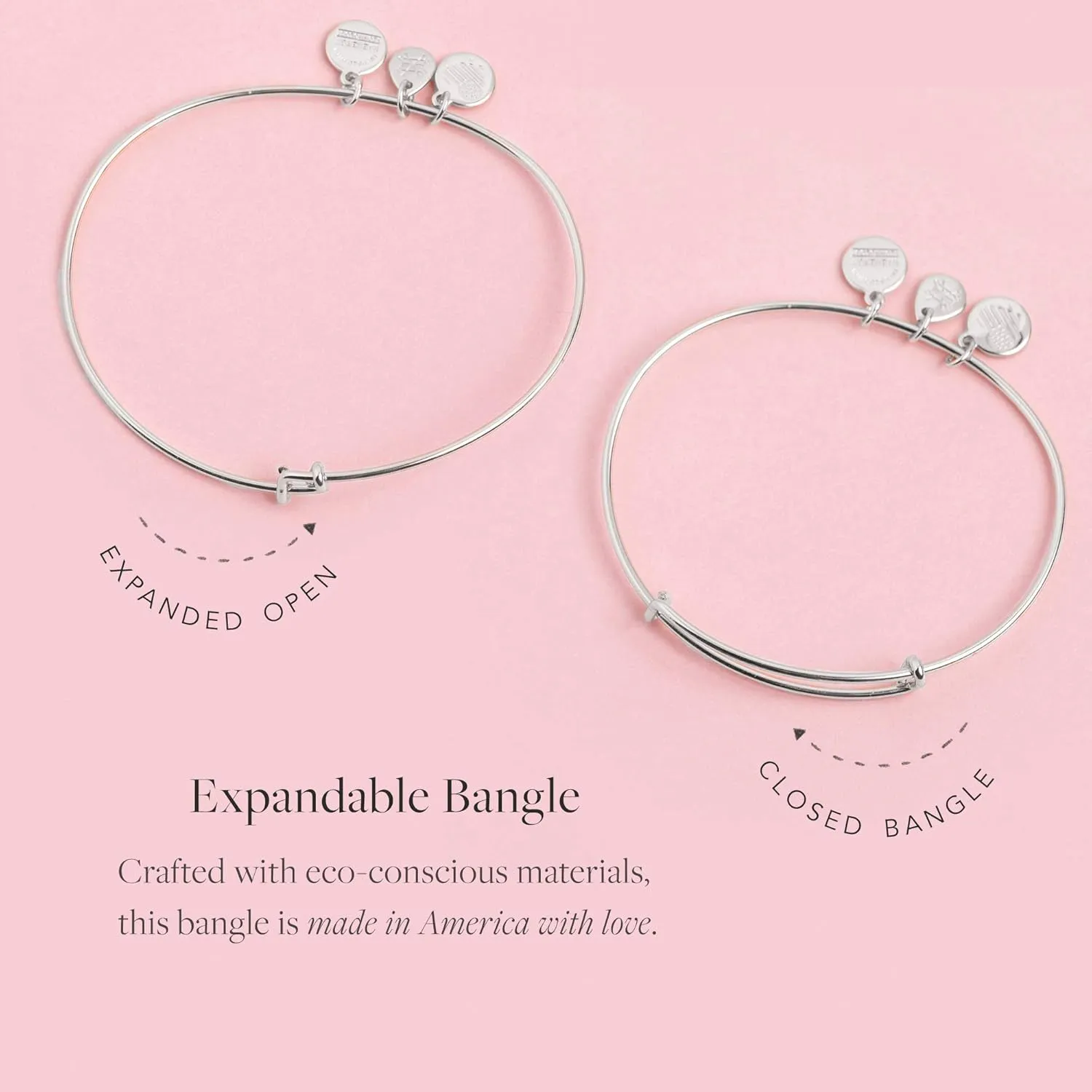 Alex and Ani Path of Symbols Expandable Bangle for Women