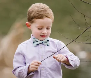 Boys Aqua Horses Bow Tie