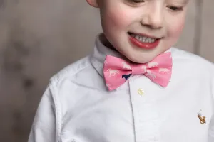 Boys Pink Horses Bow Tie