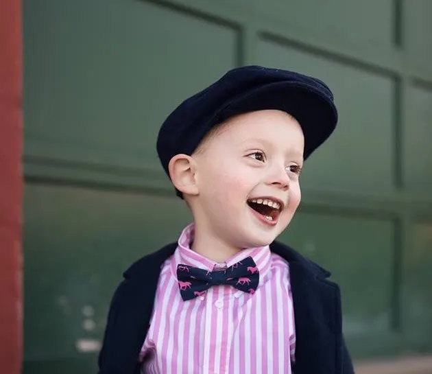 Boys Pink Horses Bow Tie