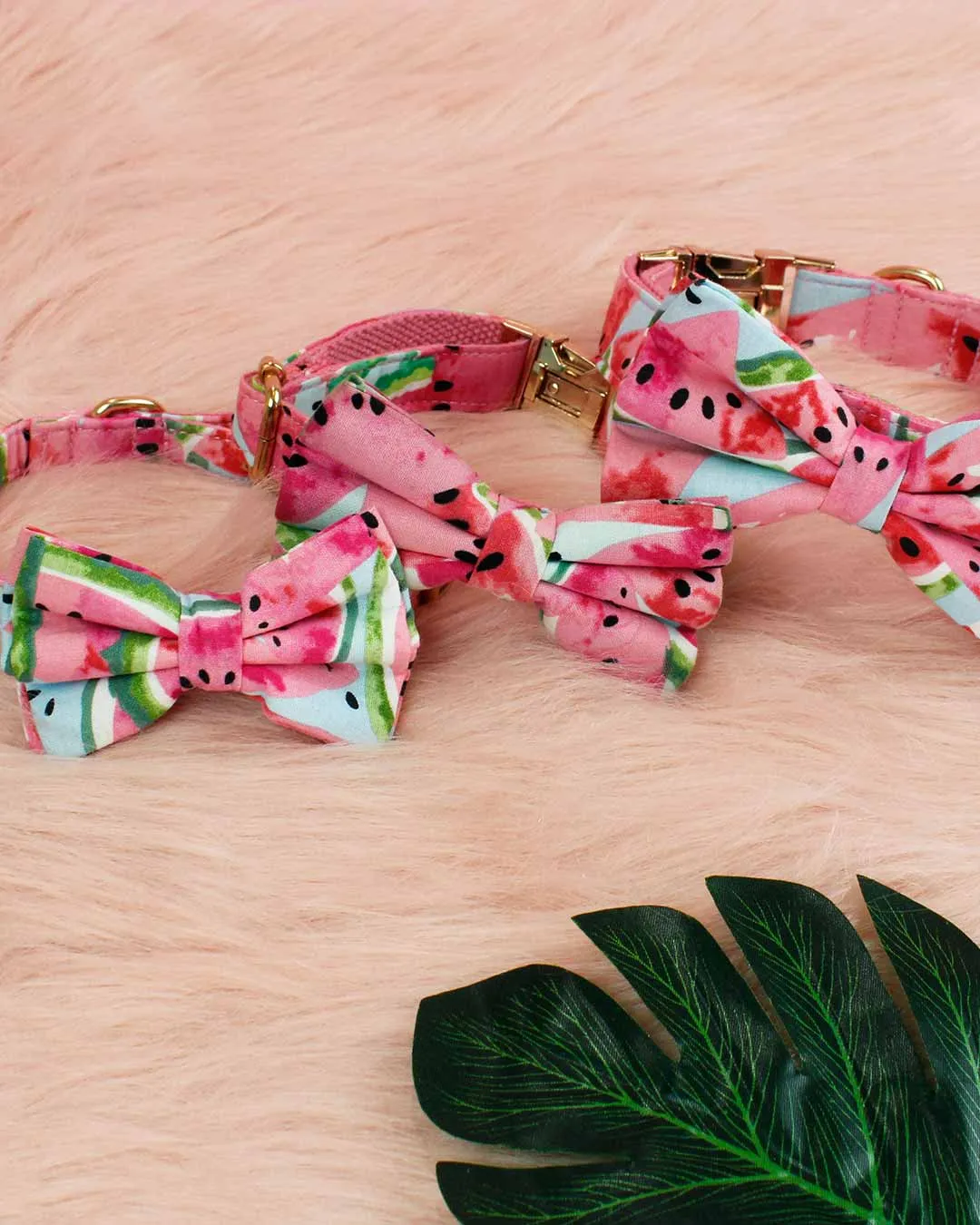 Dog Bow Tie
