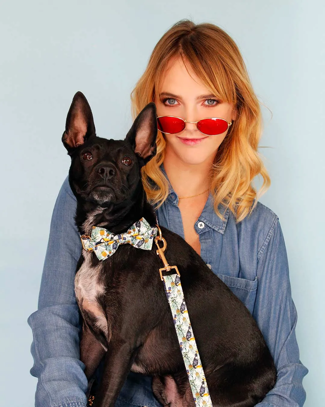 Dog Bow Tie