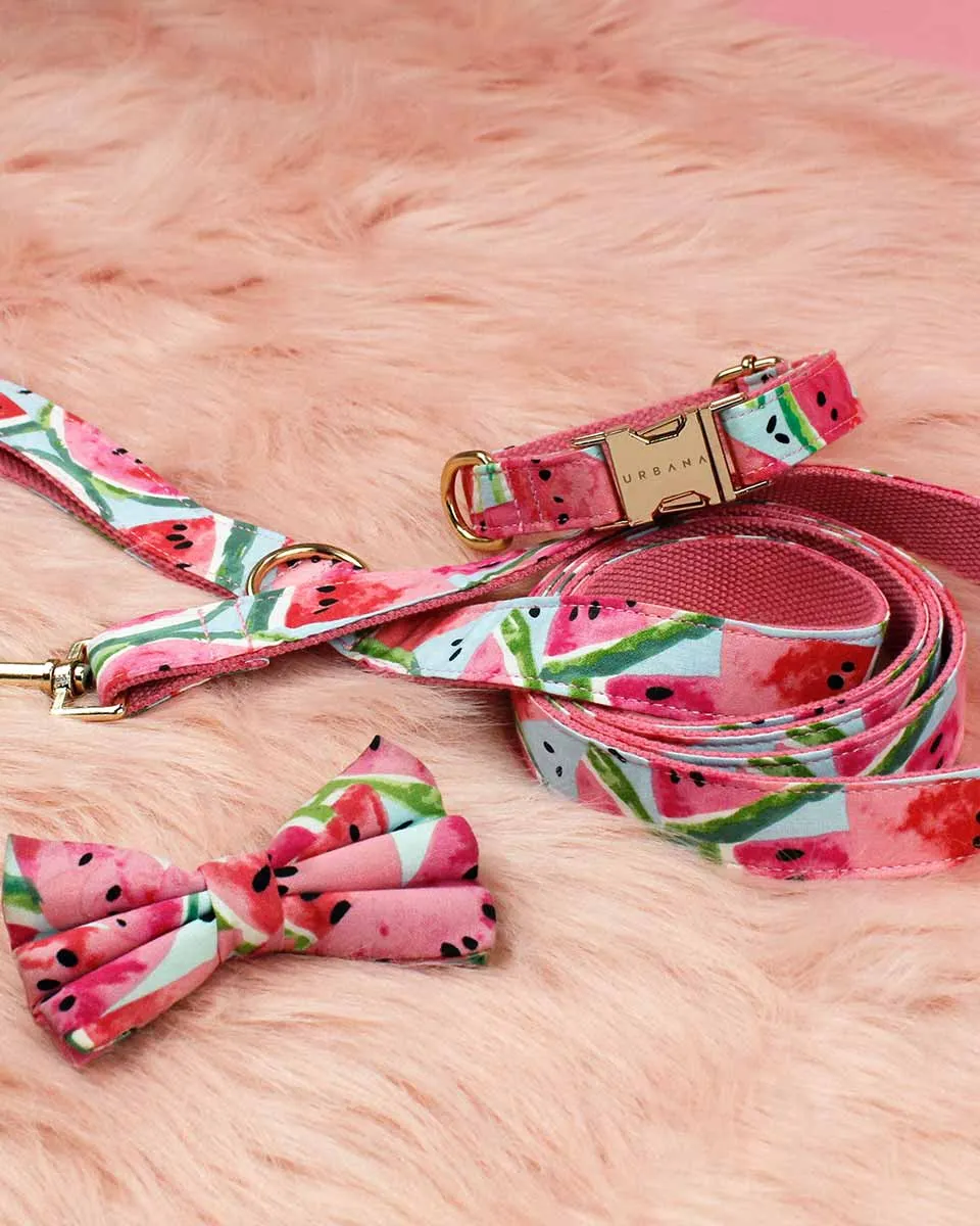 Dog Bow Tie