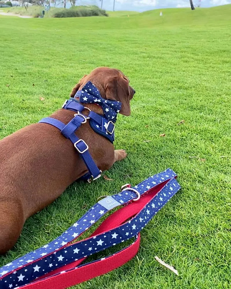 Dog Bow Tie