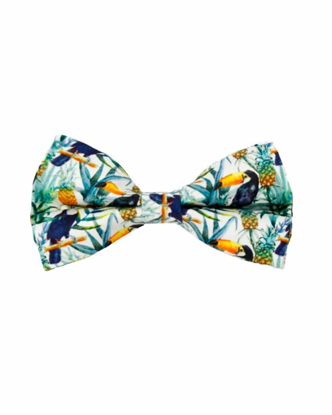 Dog Bow Tie